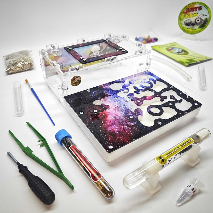 ГИПСОВЫЙ Формикарий "ADVANCED" ||| Муравьиная ферма - Муравьи жнецы