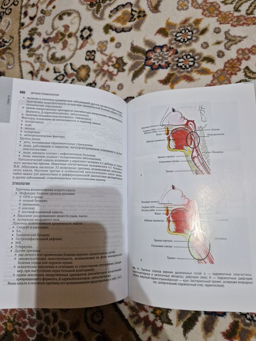 Детская пульмонология