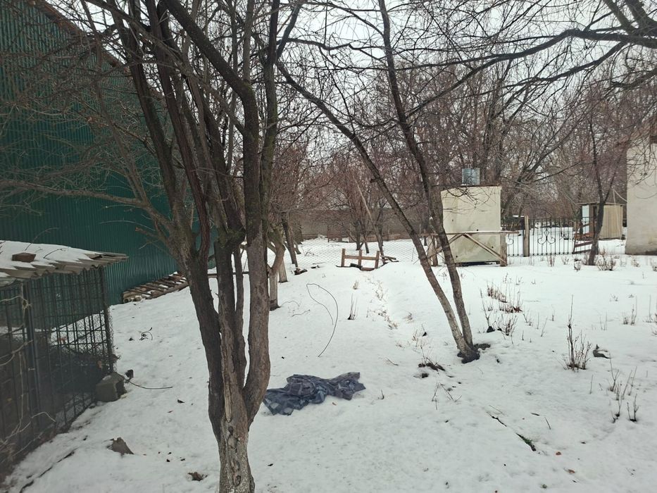 Дом фазенда кой кора