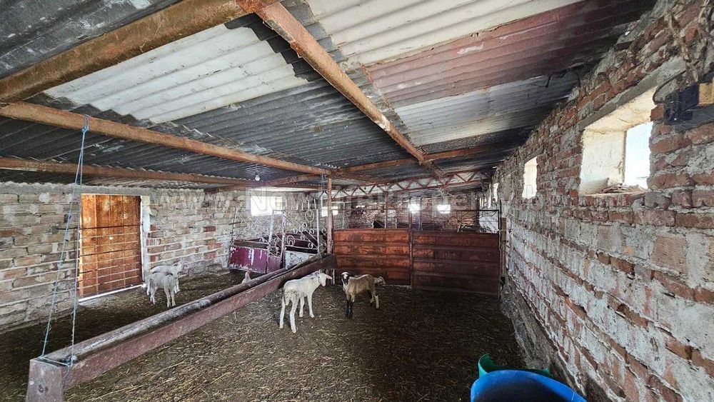 Продава се Промишлена сграда в Средец - 5500 кв.м за 15 €/кв.м - Снимка #5