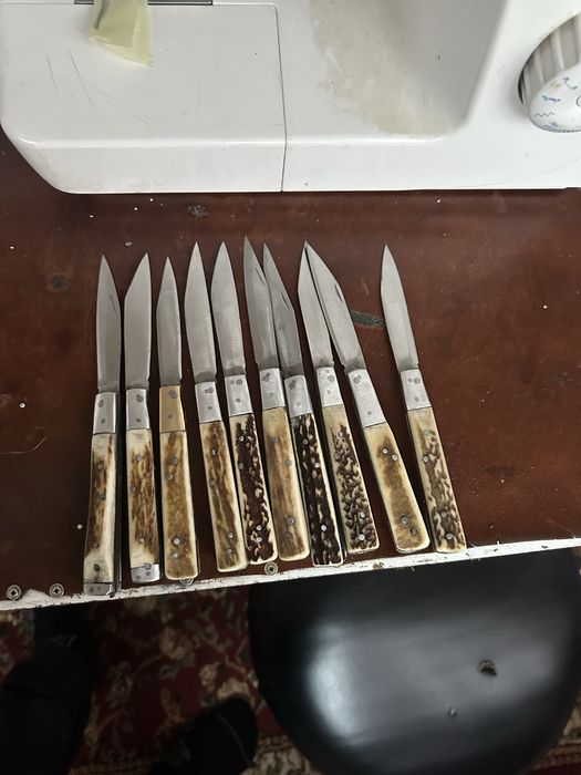 Briceag cu corn de cerb