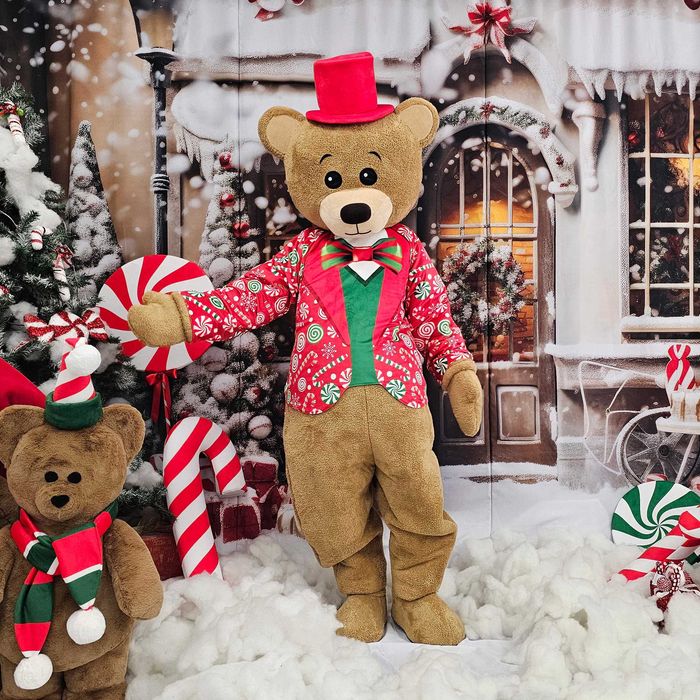 Costum Mascotă Urs de Crăciun Profesional, Mascotă Teddy Bear Crăciun, Cost Urs Evenimente, Mascotă Premium Handmade