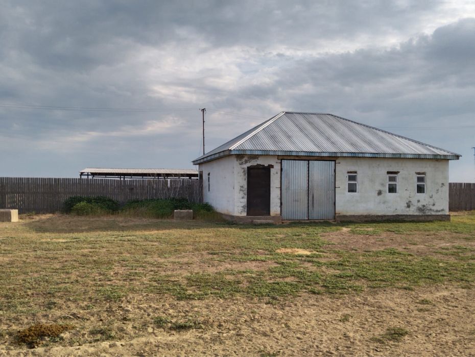 Шаруа қожалық сатылымда