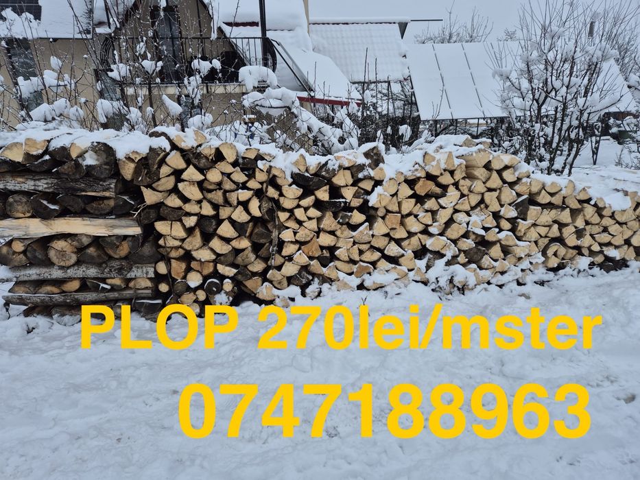 Se vand lemnele de foc din imagini