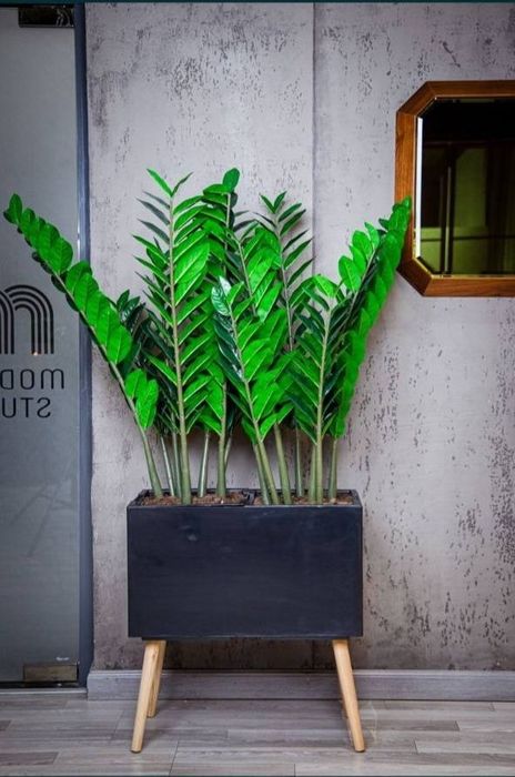 Горшки для цветов/ гул тувак/кашпо