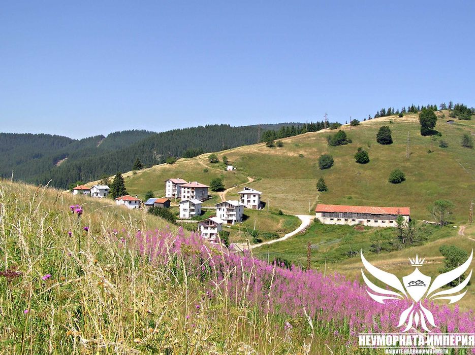 Продавам парцел УПИ 3000кв.м. в село Проглед, общ.Чепеларе