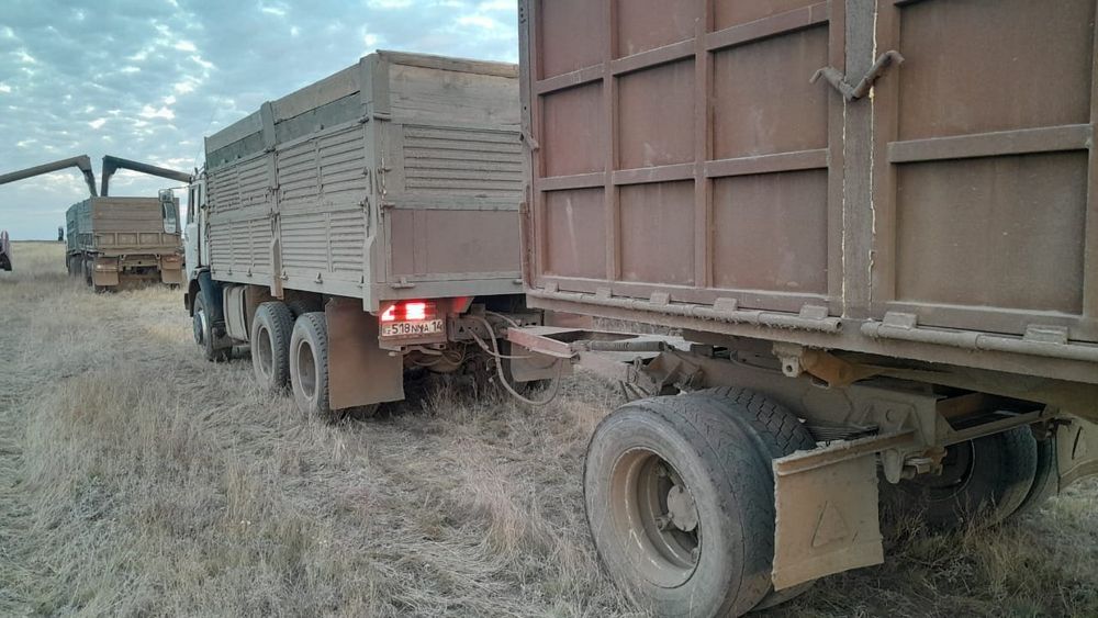 продам Камаз  ,  в хтс , самосвал