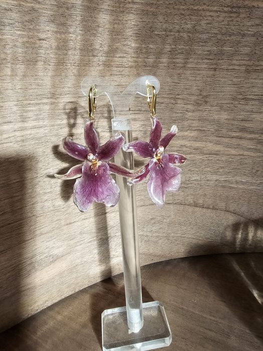 Обеци с естествен цвят на мини орхидея Miltonia.