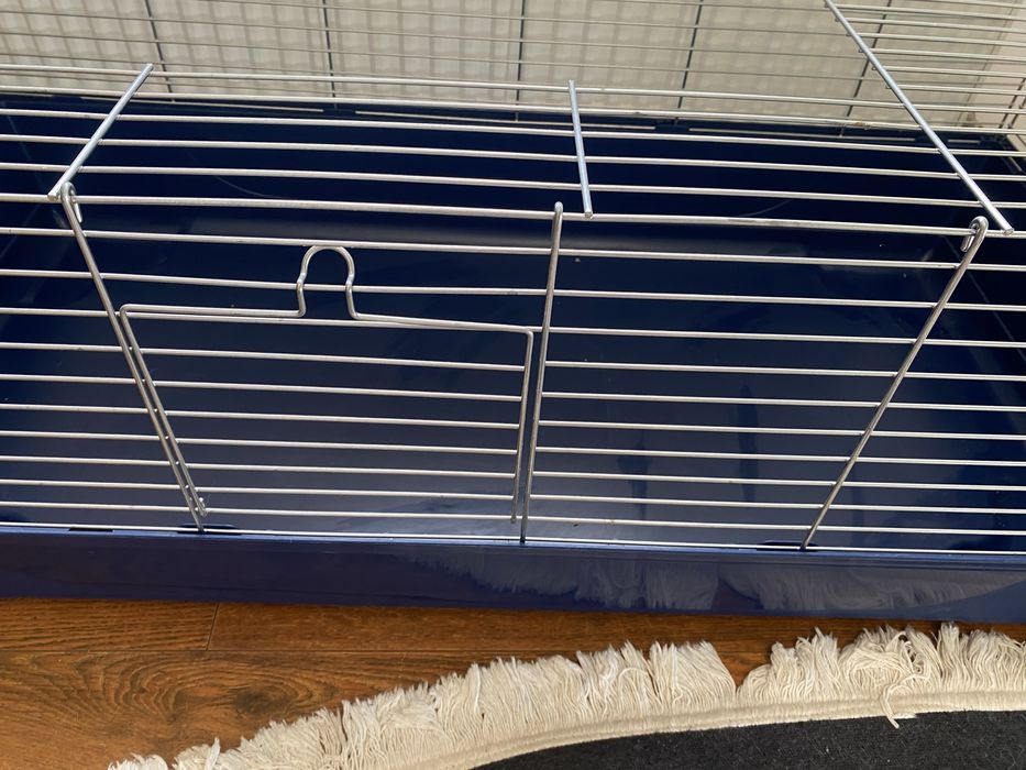 cusca iepuri/ rozatoate mari + talas din hartie