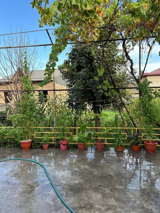 Уй сотилади 8 сотихи 35000$