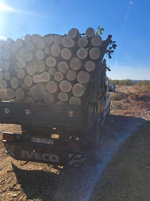 Vând lemn foc esențe tari transport gratuit