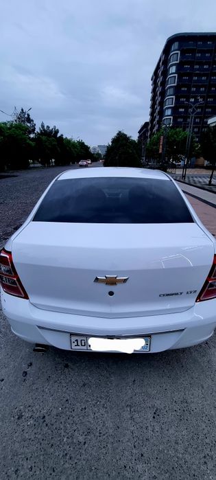 Other Cobalt 2024 — 5