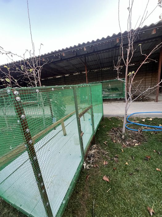 Parrandalar uchun katak