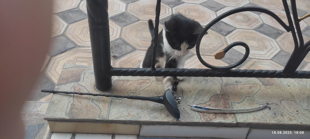 Antena ot ttreker 2 novaya  pochti obmen xam bor