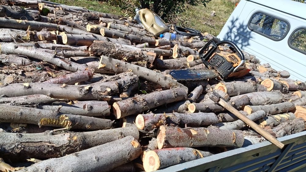 дрова  карагач яблоня