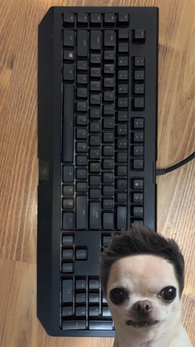 Tastatura Gaming Razer Blackwidow Chroma V2