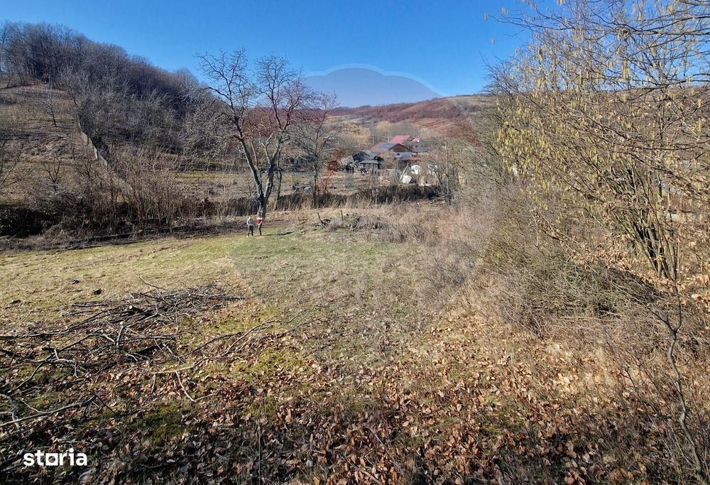 Teren de Vânzare în Pâncești (Sascut)