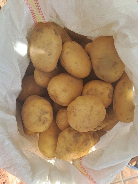 Vand cartofi albi si rosii