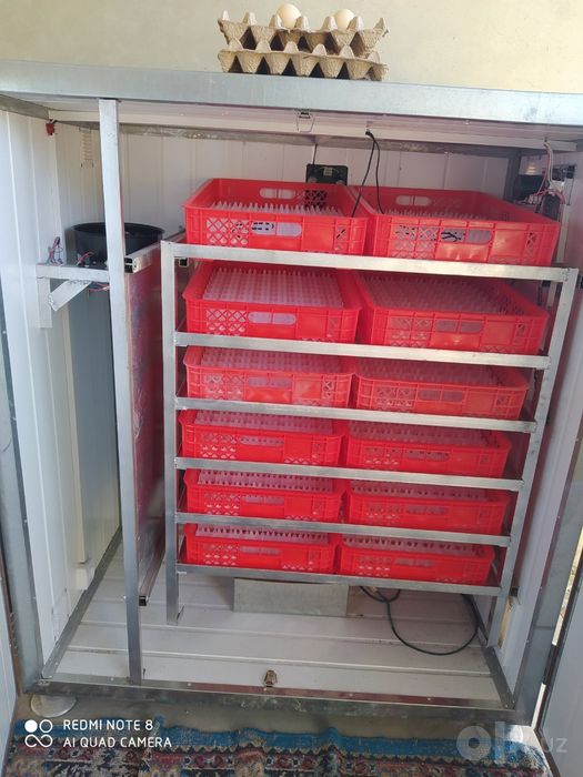 Inkubator 1200 talik