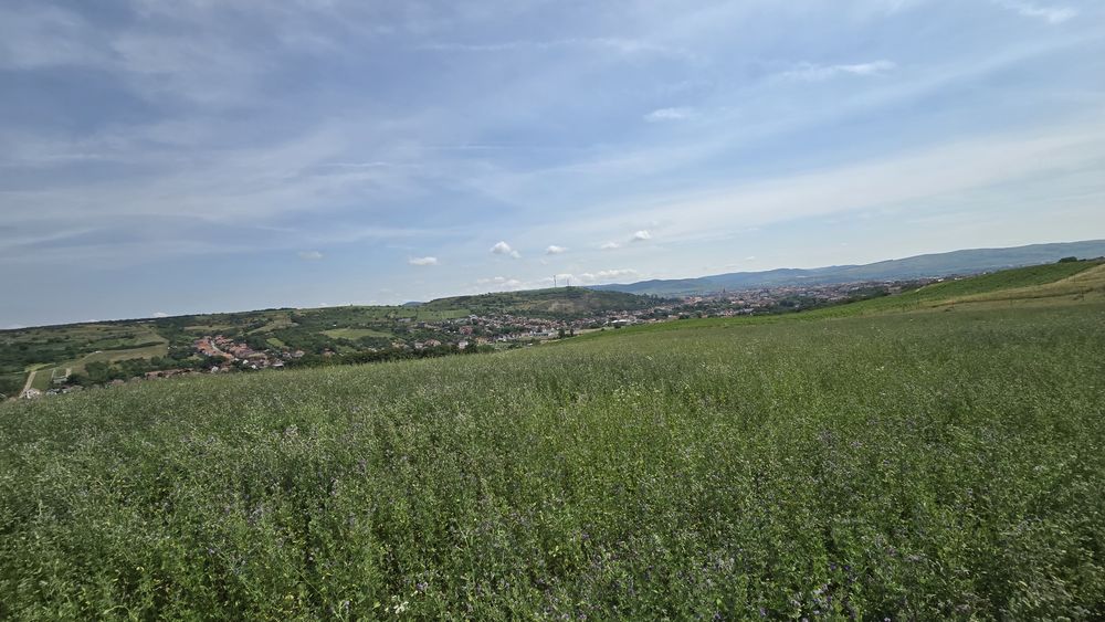Teren la capătul strazii Ștefan cel Mare