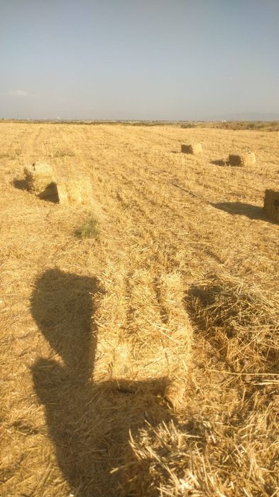 Сабан пресс  Сабан Салома Бидай сабан