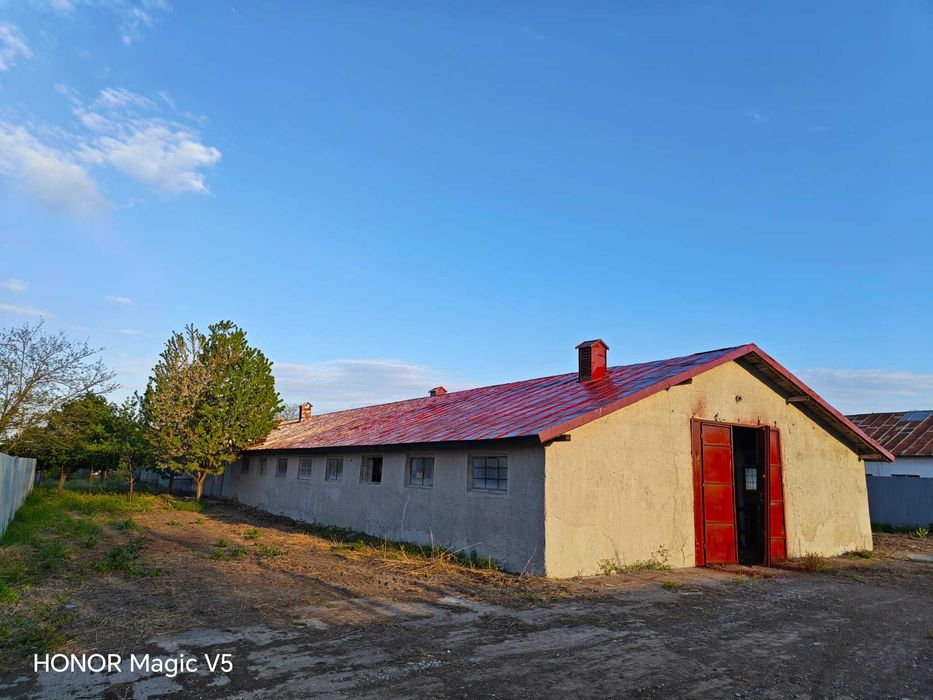 Hală 900 mp cu birouri și anexe, teren 3.000 mp – Șiliștea, Brăila