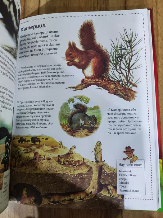 Енциклопедия на животните