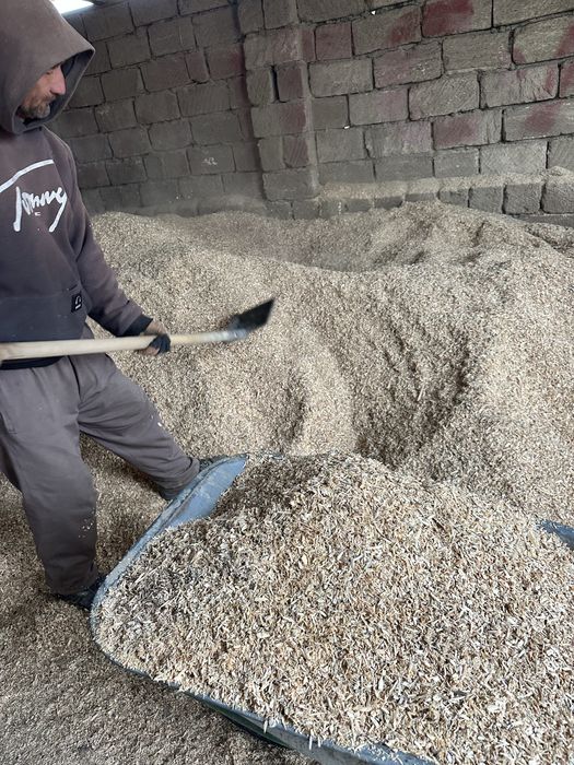 Опилки древесина