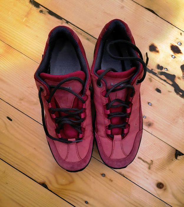 Pantofi Lowa Renegade Evo GTX