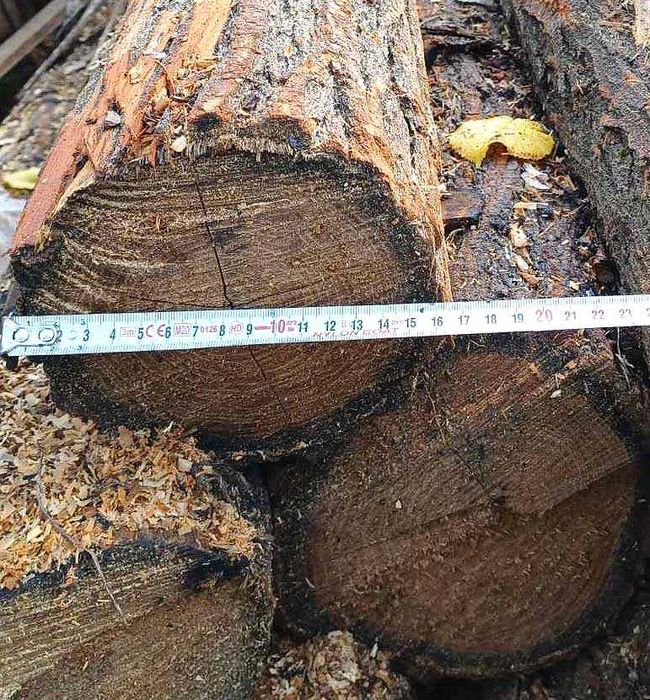 Колове акация-налични количества ,различни дължини и диаметър