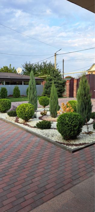 Озеленение под ключ