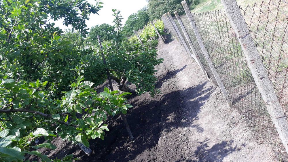 Продава се Парцел в с. Безмер, Област Ямбол - 850 кв.м за 21 €/кв.м - Снимка #9