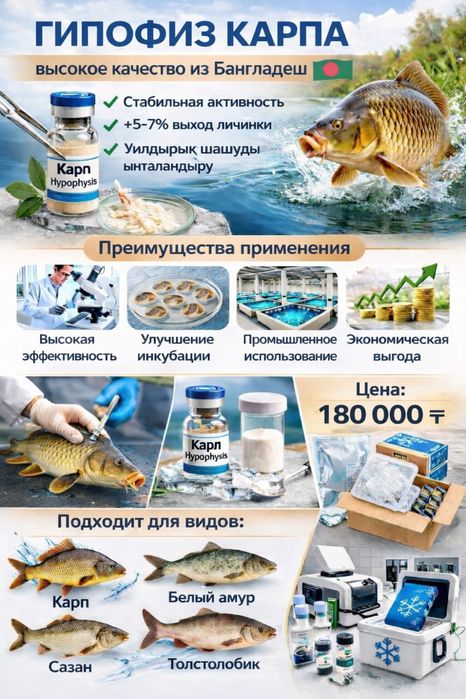 Гипофиз для карповых видов