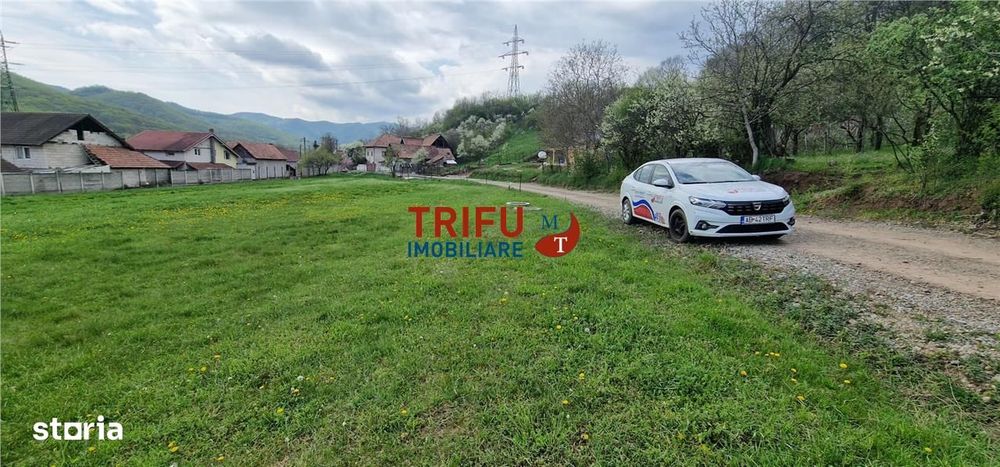 Teren de vis la liziera pădurii – liniște, natură și aer curat!