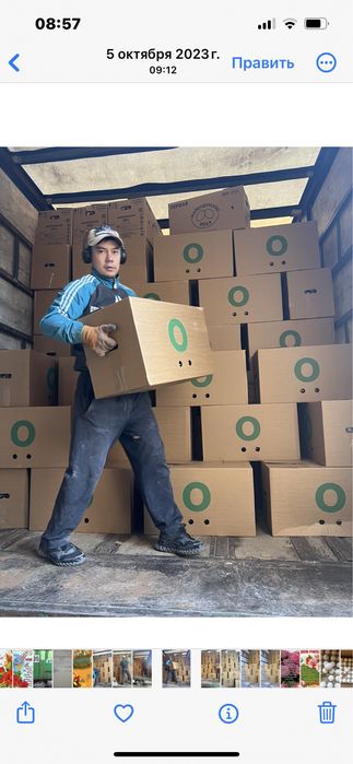 Реализем Яйцо куриное только оптом