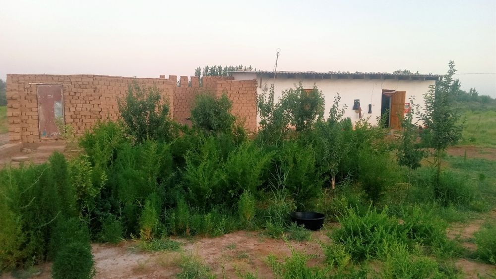 Икки хонали уй 60 га бартер бор