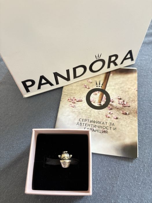 ⸻  Оригинален талисман Pandora “Free Hugs” (Кактус)