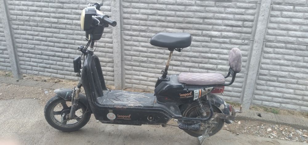 Leopard сатылады