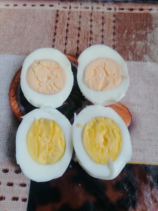 100% домашний тухум