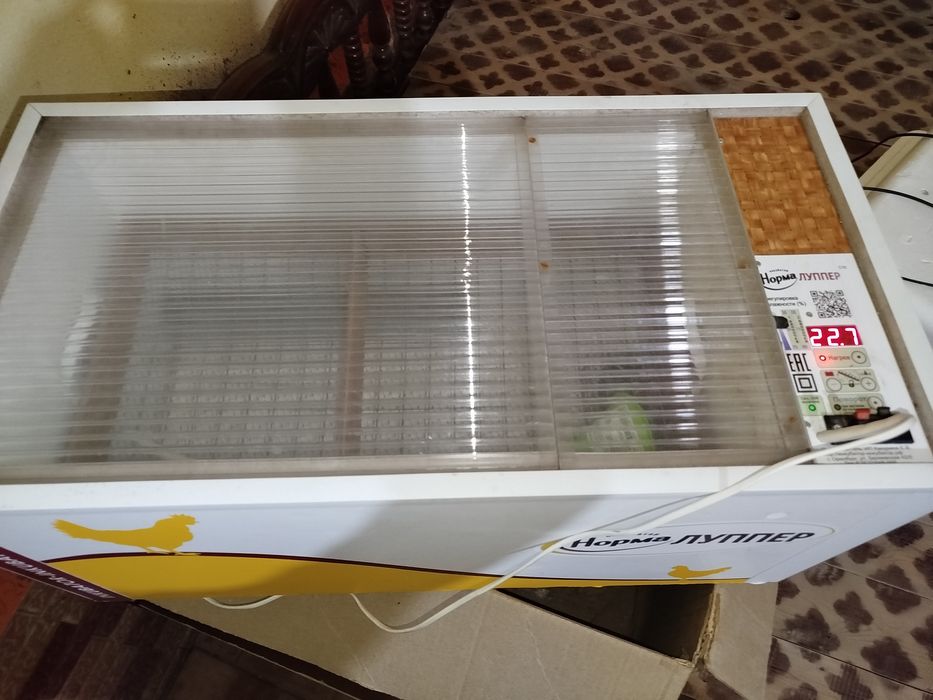 Инкубатор норма луппер