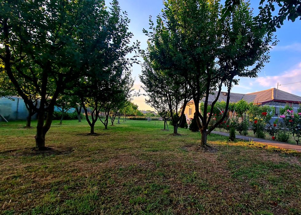 Teren intravilan 1.200+ mp | Livadă & Acces privat 7m | Sălcioara - Jurilovca