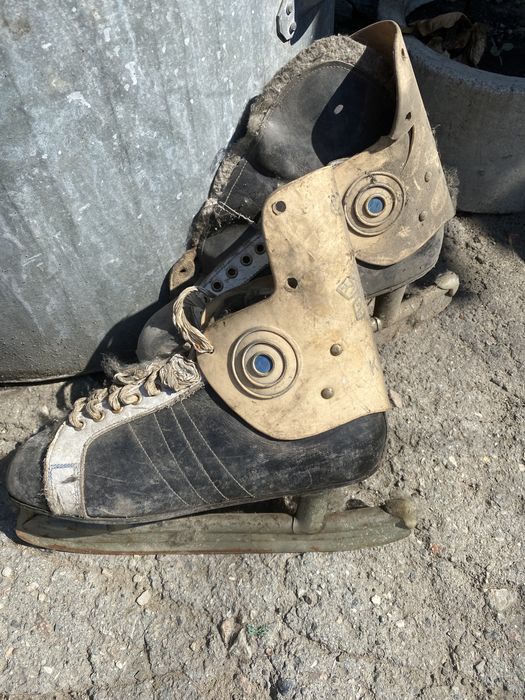 Коньки Киев