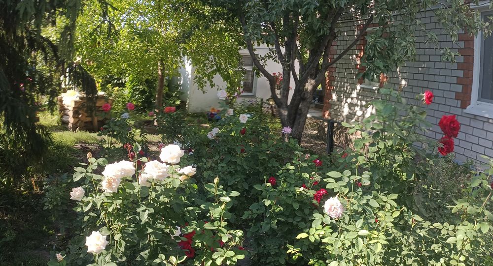 Продам дом в Жилянке