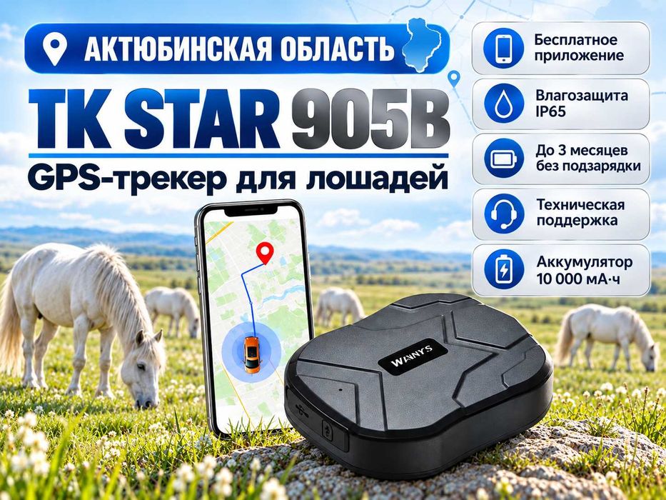 GPS трекер для лошадей. Жпс жылқыға