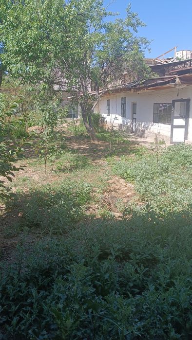 Земля продажа  5