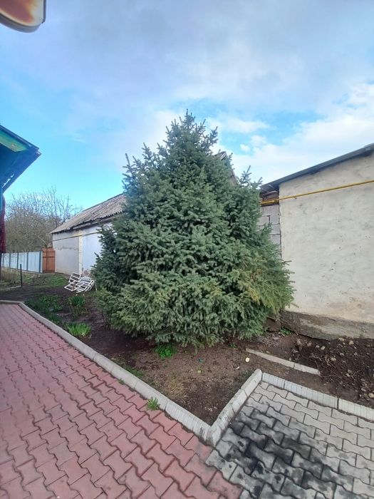 Здравствуйте! ))