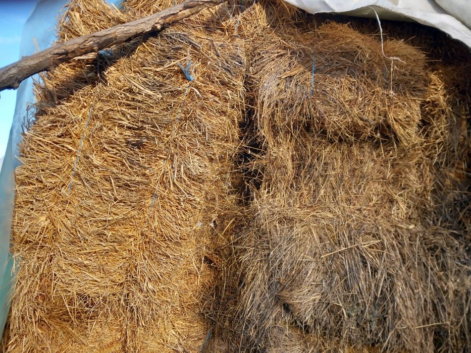 Baloți de fân cu lucernă