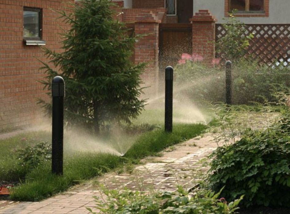 Газон и другие прочие услуги100% качеством