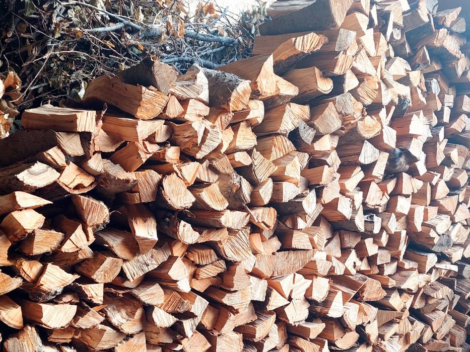 Quruq o'tinlar mevali darahtlarniki