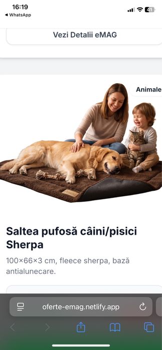 Ansamblu de joacă pentru pisici